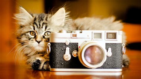 43 Cute Camera Wallpapers Wallpapersafari
