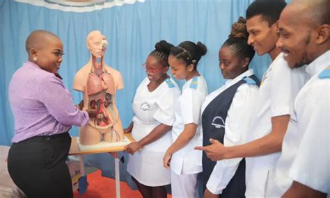Gauteng College Of Nursing Student Nurse Intake 2024 Diploma In