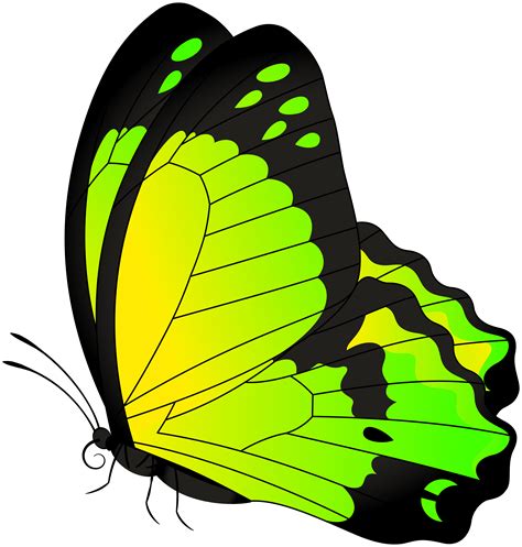 Green Butterfly Png Free Logo Image