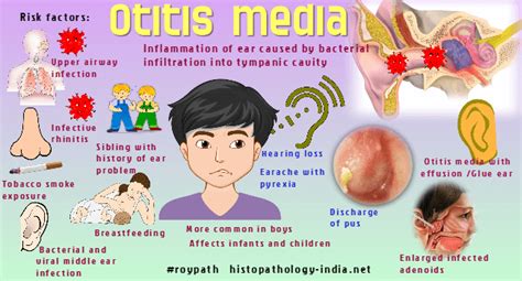 Pathology Of Otitis Media Otitis Otitis Media Pediatric Nursing