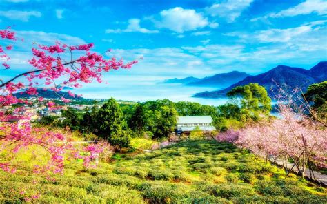 Chinese Countryside Wallpapers Top Free Chinese Countryside