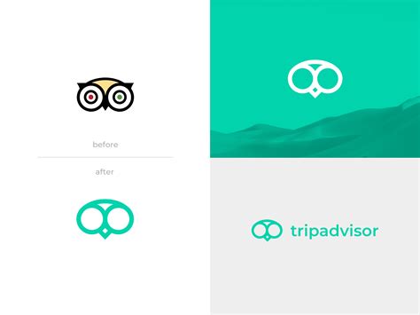 Tripadvisor Logo Redesign By Sherif Samy On Dribbble
