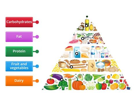 Food Pyramid Nutrients Diagrama Con Etiquetas