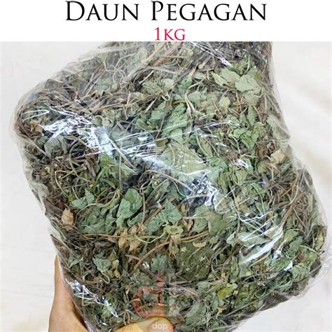 Jual Daun Pegagan Kering 1kg Antanan Bubuk Shopee Indonesia