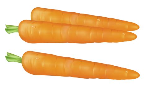 Carrot Vegetable Clipart 20 Free Cliparts Download Images On