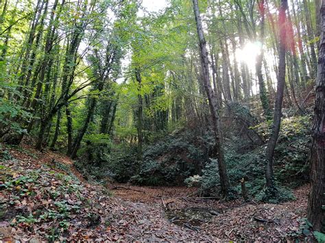 Photos That Prove Turkey Is Absolutely Stunning During Fall