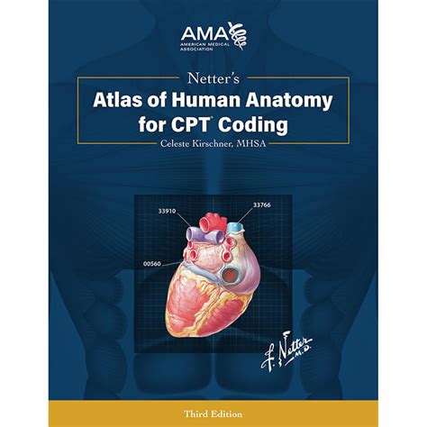 Netters Atlases Of Human Anatomy