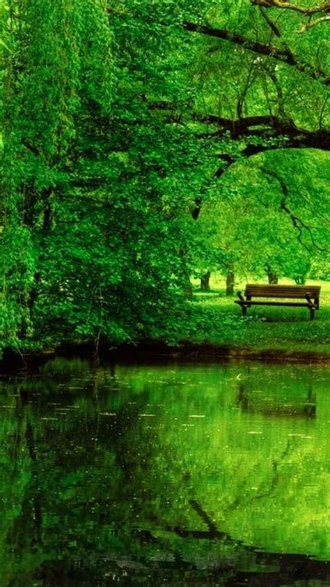 Green Nature Wallpaper For Mobile 15 Greenery Nature Mobile