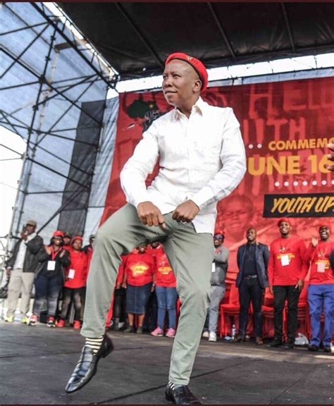 Anc's expelled youth leader, awaiting trial in spring for fraud and racketeering, swaps barricades for cabbages. EFF leader Julius Malema EXP0SED | News365.co.za