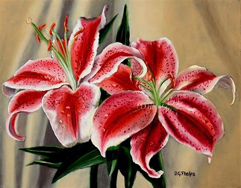 Red And White Stargazer Lily Oil Painting Titled Nancys Lily By