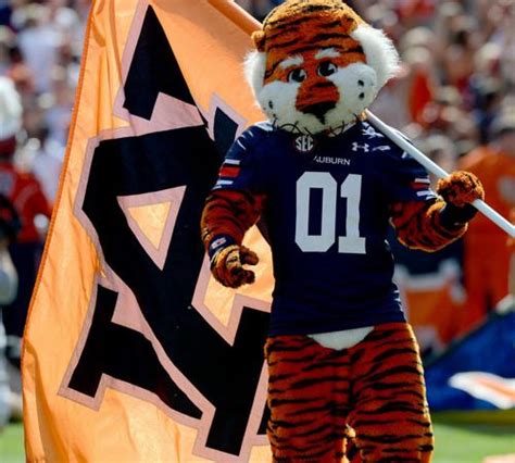 A Look At Aubie The Tigers Favorite Photos And Moments From 2016