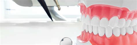 ¿por Qué Estudiar La Carrera De Odontología Ar