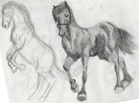 Britts Graphics Animal Drawing Practice Horses