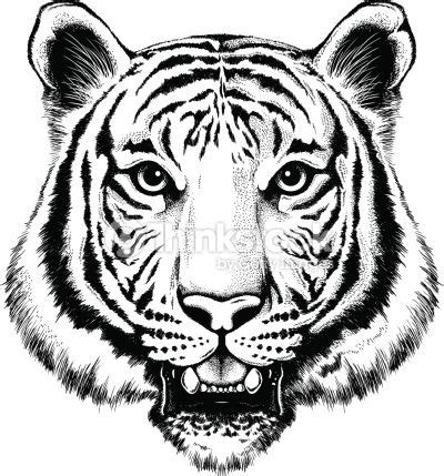 Black And White Vector Illustration Of A Tiger S Face Tiger Face