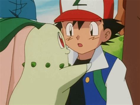 Chikorita Gifs Find Share On Giphy