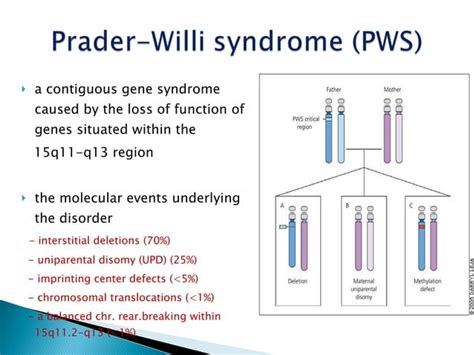 Genotype Phenotype Correlation In Prader Willi Syndrome