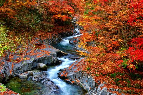 Autumn Japan Photo Tour 2021 Momijigari And Japanese Nature