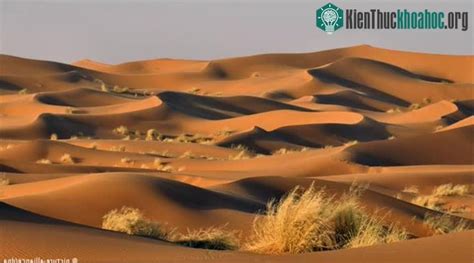 Dùng radar để đo độ sâu sa mạc Sahara các nhà khoa học phát hiện ra