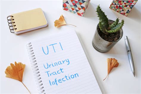 Tips To Help Prevent Utis Starmed Specialist Centre Starmed Radiology Centre Singapore