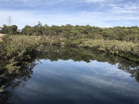 Lane Cove National Park Fairyland Loop Track Bitesize Traveller