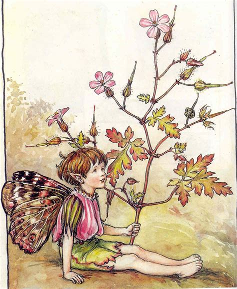Cicely Mary Barker Illustrations Beautiful Cicely Mary Barker Fairy