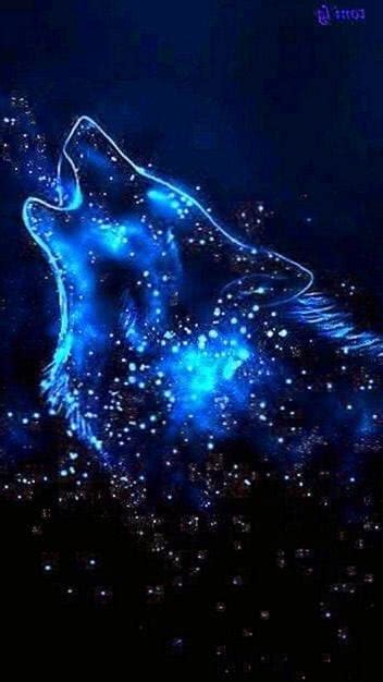 Wolf Star Wallpapers Wolf Wallpaperspro