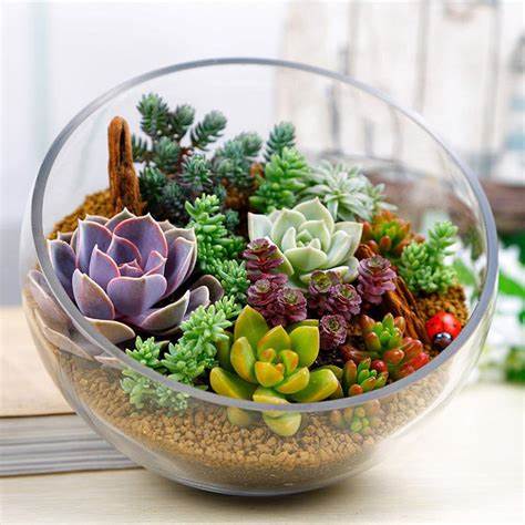 Диеты сжигающие жир Купила дешевый аквариум и немного цветного песка. Теперь у меня дома Купила дешевый аквариум и немного цветного песка. Теперь у меня дома Диеты сжигающие жир