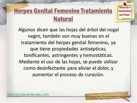 Herpes Genital Femenino Tratamiento Natural Como Quitar El Herpes