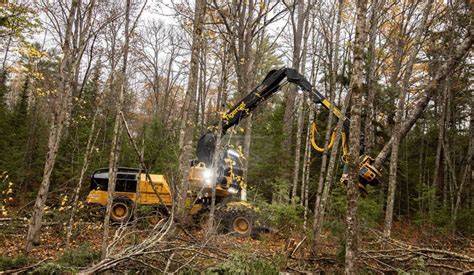 Harvester Tigercat Grupo Tracbel