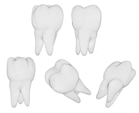 Premium Vector Vector Set Of 3d Teeth For Dental Medicine