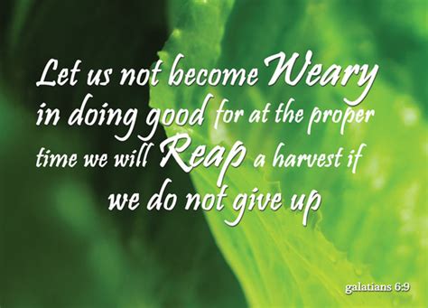 Galatians 6:9 let us not lose heart in doing good, for in due time we will reap if we do not grow weary. Galatians 6:9 | re-Ver(sing) Verses