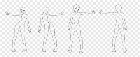 Drawing Bases Male And Female Height And Shoulder Width Before We Begin