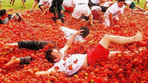 Highlights Of La Tomatina Spains Tomato Throwing Festival