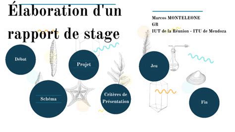Elaboration Dun Rapport De Stage Ouvrier By Marcos Monteleone On