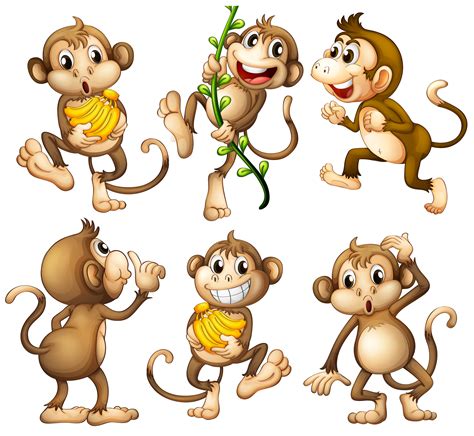 Playful Wild Monkeys Download Free Vectors Clipart