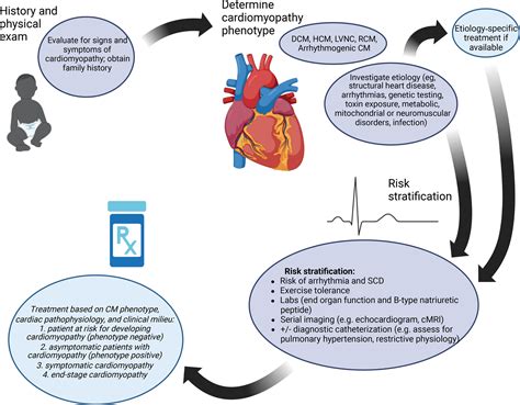 Treatment Strategies For Cardiomyopathy In Children A Scientific