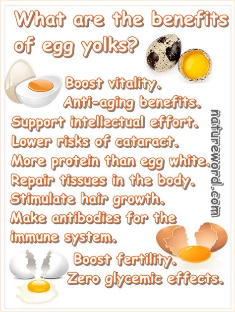 23 Benefits Of Eating Egg Yolks Natureword