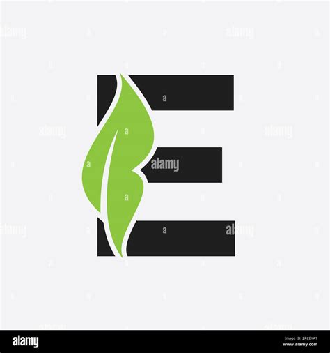 Letter E Leaf Logo Eco Farm Logotype Vector Template Organic Symbol