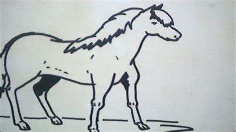 Cara Menggambar Kuda How To Draw A Horse Youtube