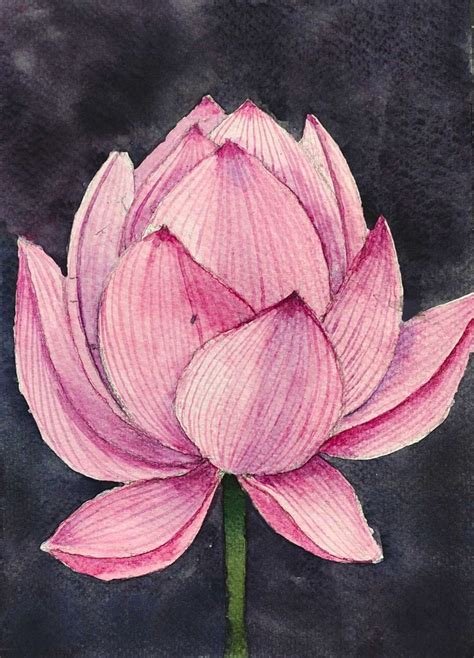 Watercolor Lotus Flower Painting Watercolor Lotus Lotus Painting Easy