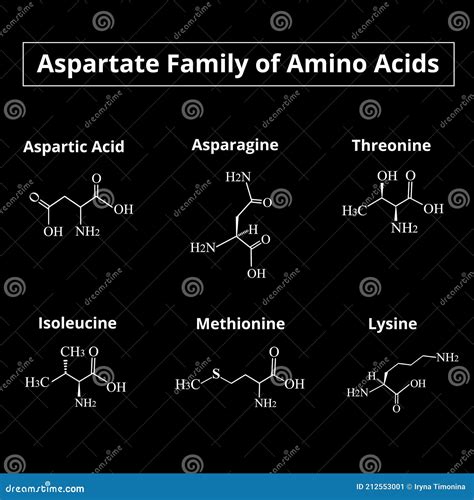 A Family Of Amino Acids Aspartate Chemical Molecular Formulas Of Amino Acids Aspartate