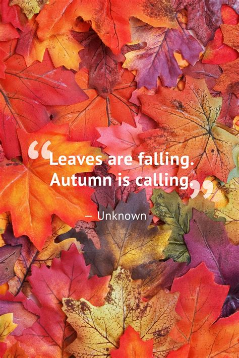 10 Beautiful Fall Quotes To Celebrate The Season Autumn Quotes