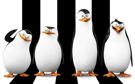 Penguins Of Madagascar Images Models Wallpaper And Hot Sex Picture