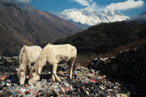 Everest Summit Trash