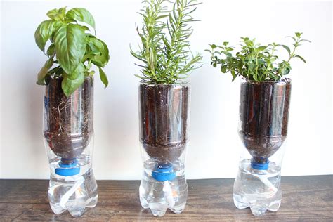 How To Make Self Watering Bottles Hujaifa