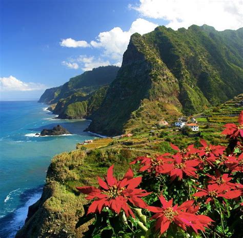 Insel Abc Madeira Ist Für Naturfreunde Ein Wahres Paradies Welt