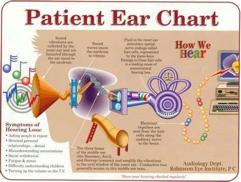 Robinson Eye Institute Pc Patient Ear Chart A And P Audición Y