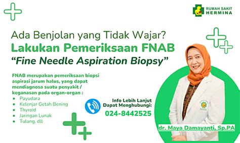 Hermina Hospitals Fnab Fine Needle Aspiration Biopsy Examination