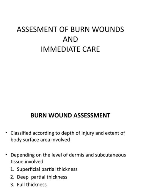 Assesment Of Burn Wounds And Management Pdf Burn Respiratory Tract