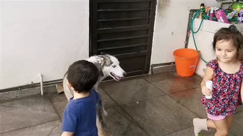 El apartamentos acacio en suances acepta perros. JUGANDO CON LAS MASCOTAS DE LA CASA - YouTube